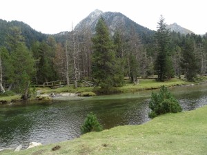 Estany llong (4)  